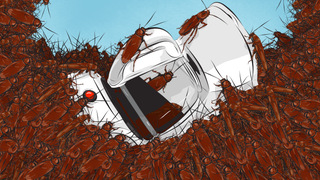 How To Clean A Roach-Infested Coffee Maker